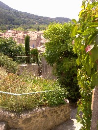 Provence Nyonsgasse